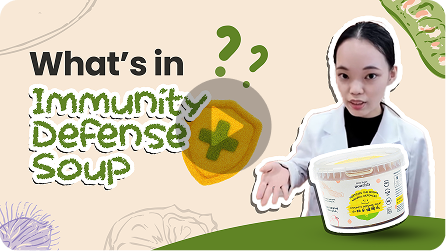 What’s in Immunity Defence  Soup